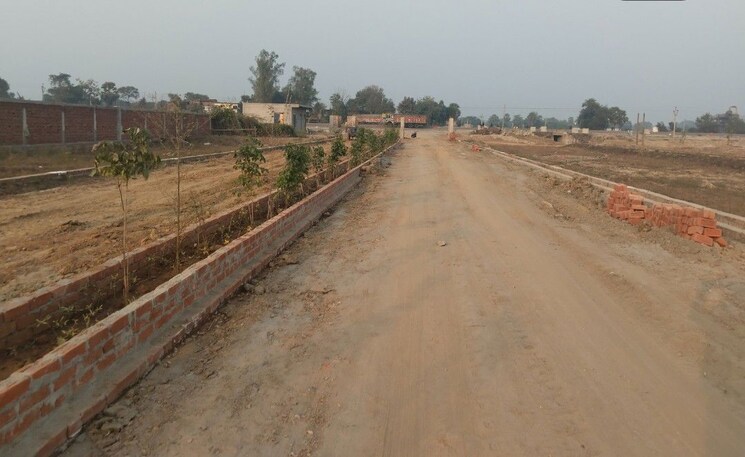 undefined, amas  1000 Sq.Ft. Plot In Amas Gaya 9929153