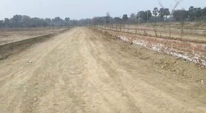 Plot Area in  Plot at Amas – for Sale