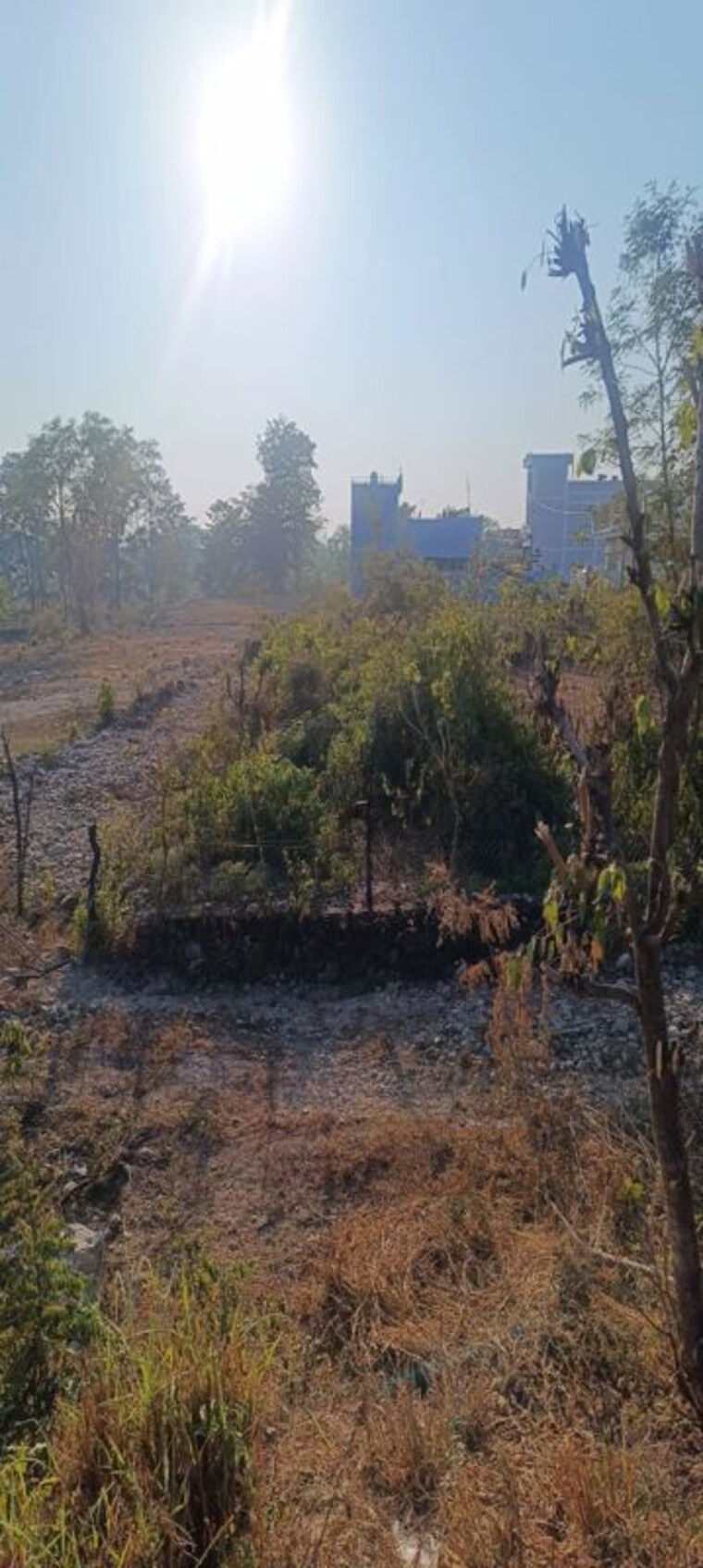 undefined, raipur  150 Sq.Yd. Plot In Raipur Dehradun 9929729