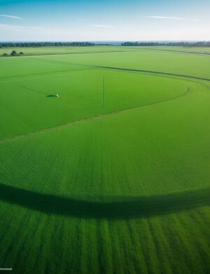 Plot Area in  Plot at Mullanpur – for Sale