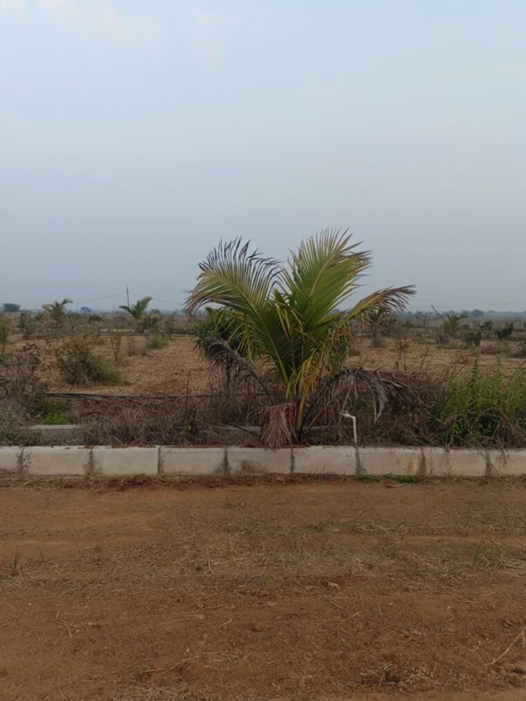 undefined, maheshwaram  1495 Sq.Ft. Plot In Maheshwaram Hyderabad 9929500