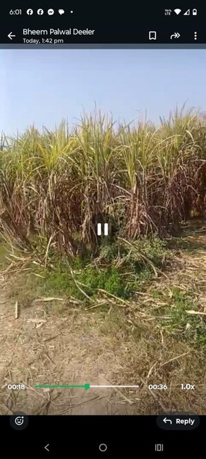  Plot For Sale in Hodal