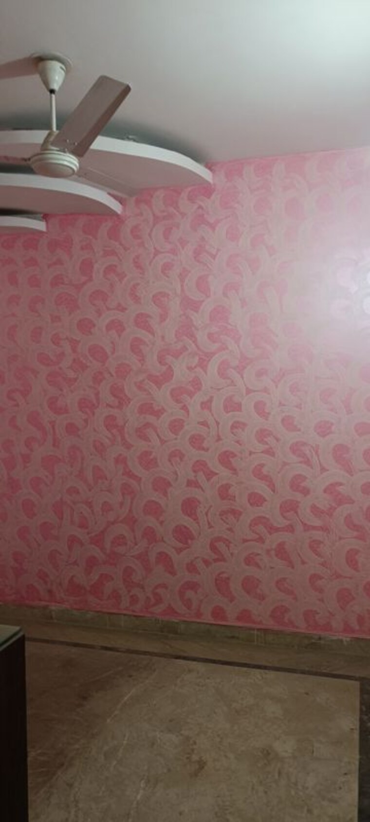 Room, rohini sector 8 1 Bedroom 350 Sq.Ft. Builder Floor In Rohini Sector 8 Delhi 9930273