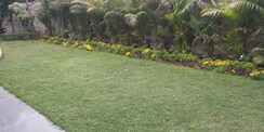 Plot For Sale in Shaheed Bhagat Singh Nagar