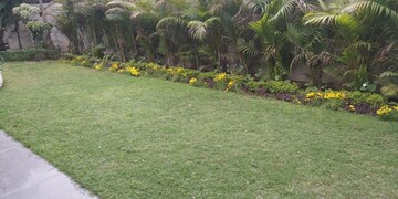  Plot For Sale in Shaheed Bhagat Singh Nagar