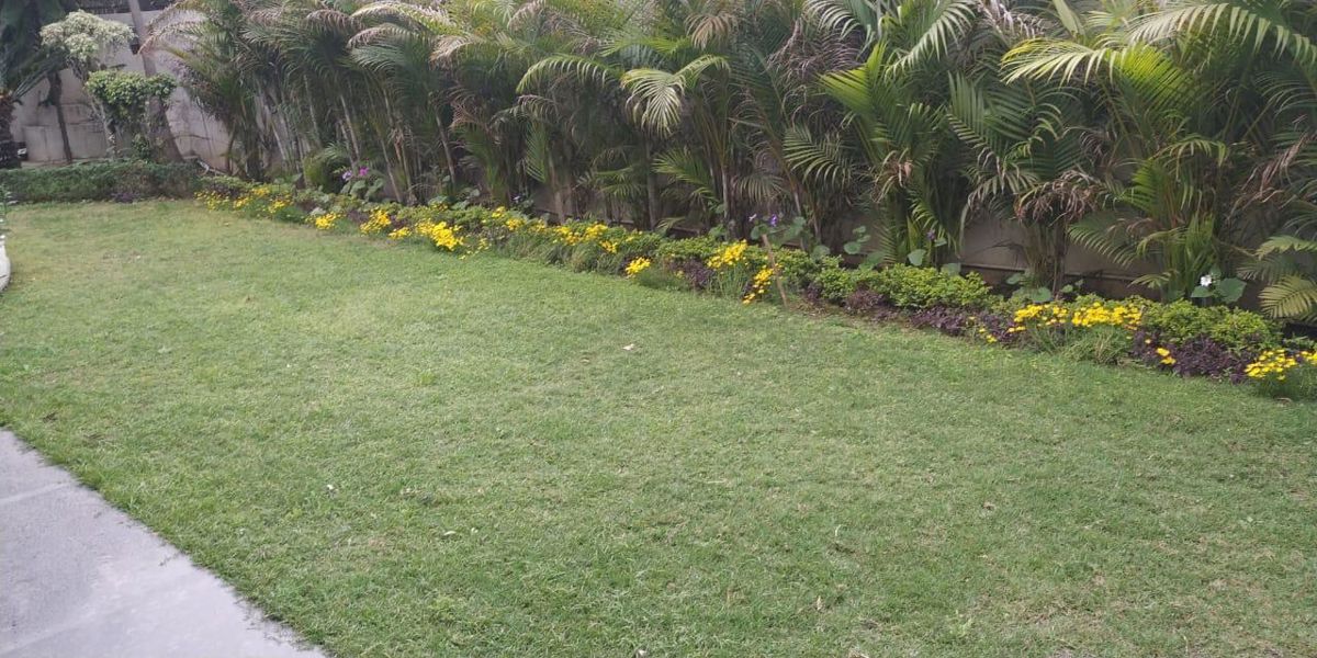 Plot For Sale in Shaheed Bhagat Singh Nagar