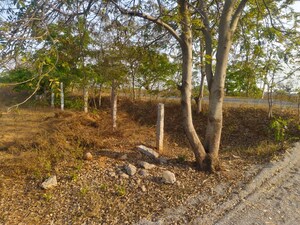 Plot Area in  Land at Kadthal – for Sale