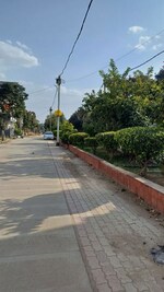 1150 Sq.Yd. Plot in Jakhya
