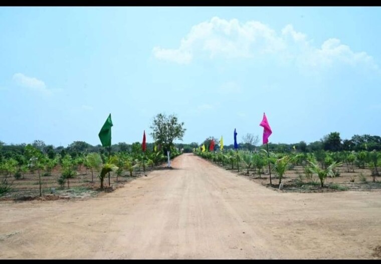 undefined, anandbagh  124 Sq.Yd. Plot In Anandbagh Hyderabad 9930726