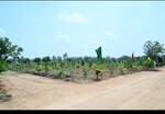 126 Sq.Yd. Plot in Anandbagh