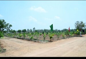  Plot For Sale in Anandbagh