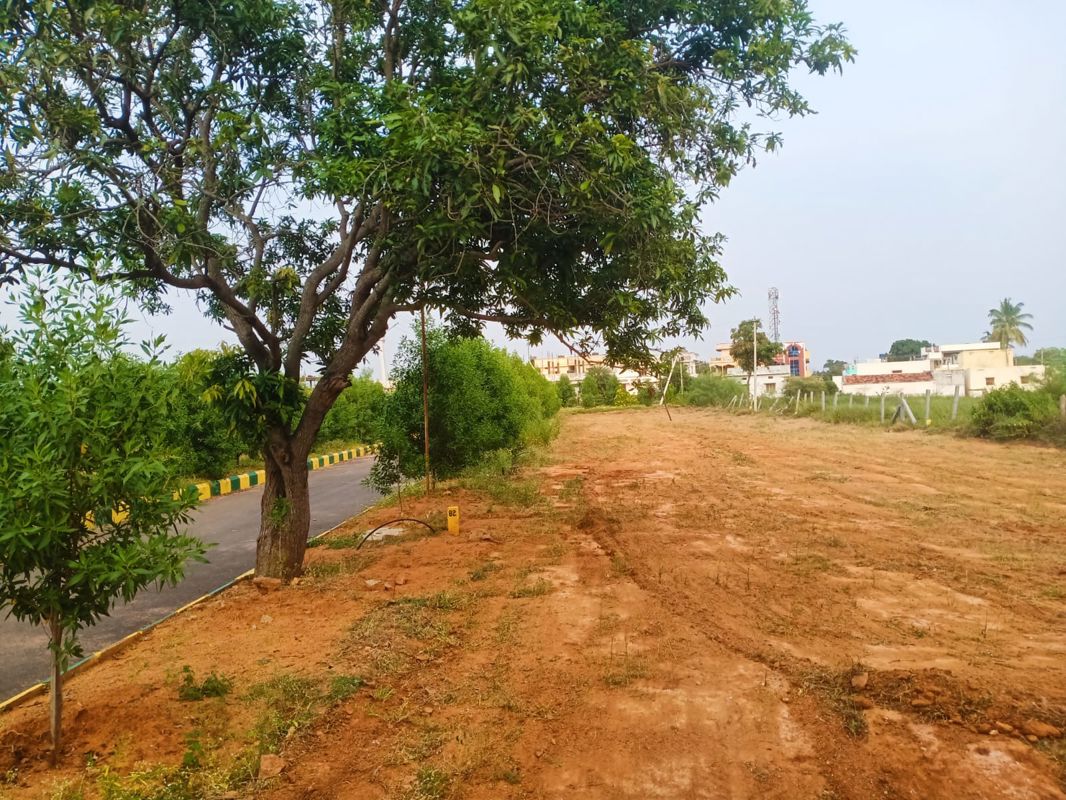 Plot For Sale in Kothur