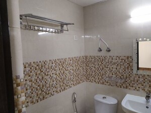 Bathroom in 2 BHK Apartment at Amrapali Dream Valley, Tech Zone 4 Greater Noida – for Rent