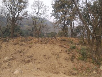 3 BHK Builder Floor For Sale in Vasundhara Sector 3