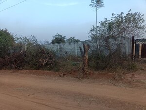 Plot Area in  Land at Shadnagar – for Sale