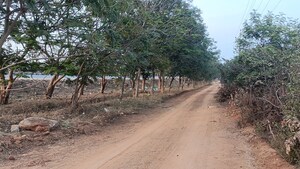 Plot Area in  Land at Shadnagar – for Sale