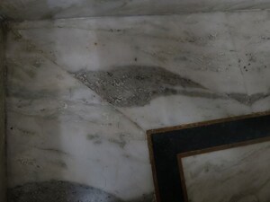  Plot For Sale in Sector 105