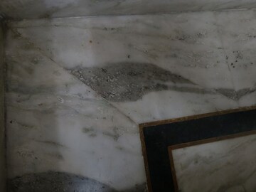  Plot For Sale in Sector 105