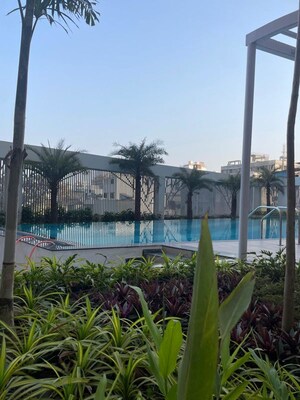 Swimming Pool in 2 BHK Apartment at Kohinoor Sapphire 3, Tathawade – for Rent