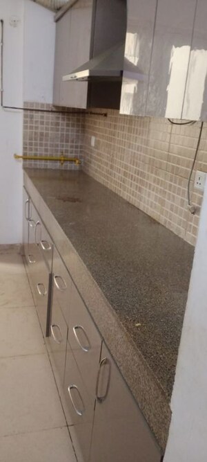 3 BHK Apartment For Rent in BPTP Park Elite Floors, Sector 85