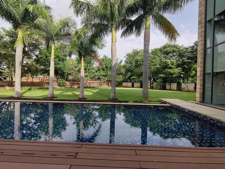 Swimming Pool, prestige-golfshire 5 Bedroom 17003 Sq.Ft. Villa In Nandi Hills Bangalore 9931855