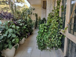  Shop For Rent in Spaze ITech Park, Sector 49