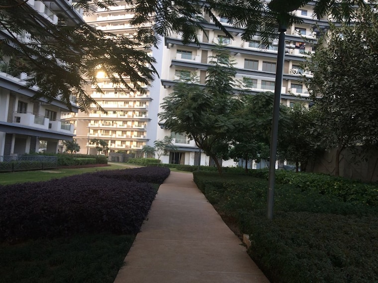 Exterior View, tata-raheja-raisina-residency 4 Bedroom 3829 Sq.Ft. Apartment In Sector 59 Gurgaon 9931966