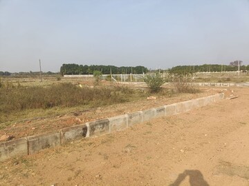 Plot Area in  Plot at Shadnagar – for Sale