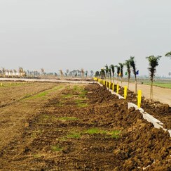 Plot For Sale in Paritala