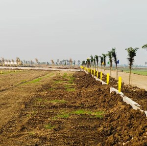  Plot For Sale in Paritala