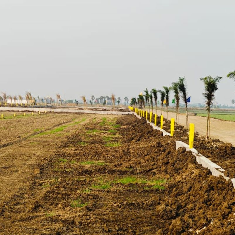 Plot For Sale in Paritala