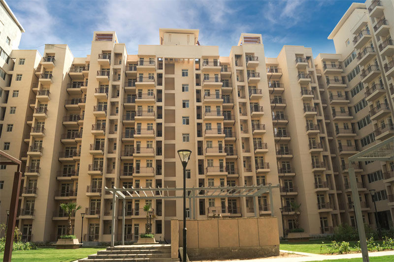 3 BHK Apartment For Rent in BPTP Park Elite Premium