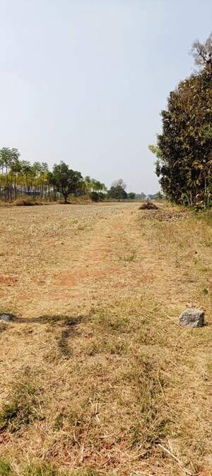  Plot For Sale in Yelahanka