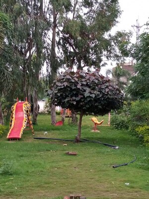  Plot – Garden View at Rau - for Sale