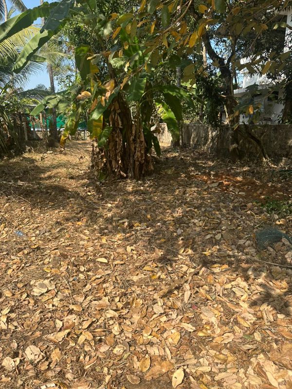 Plot For Sale in Pamboor