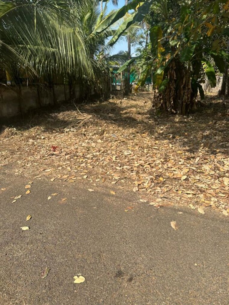 undefined, pamboor  3268 Sq.Ft. Plot In Pamboor Thrissur 9932795