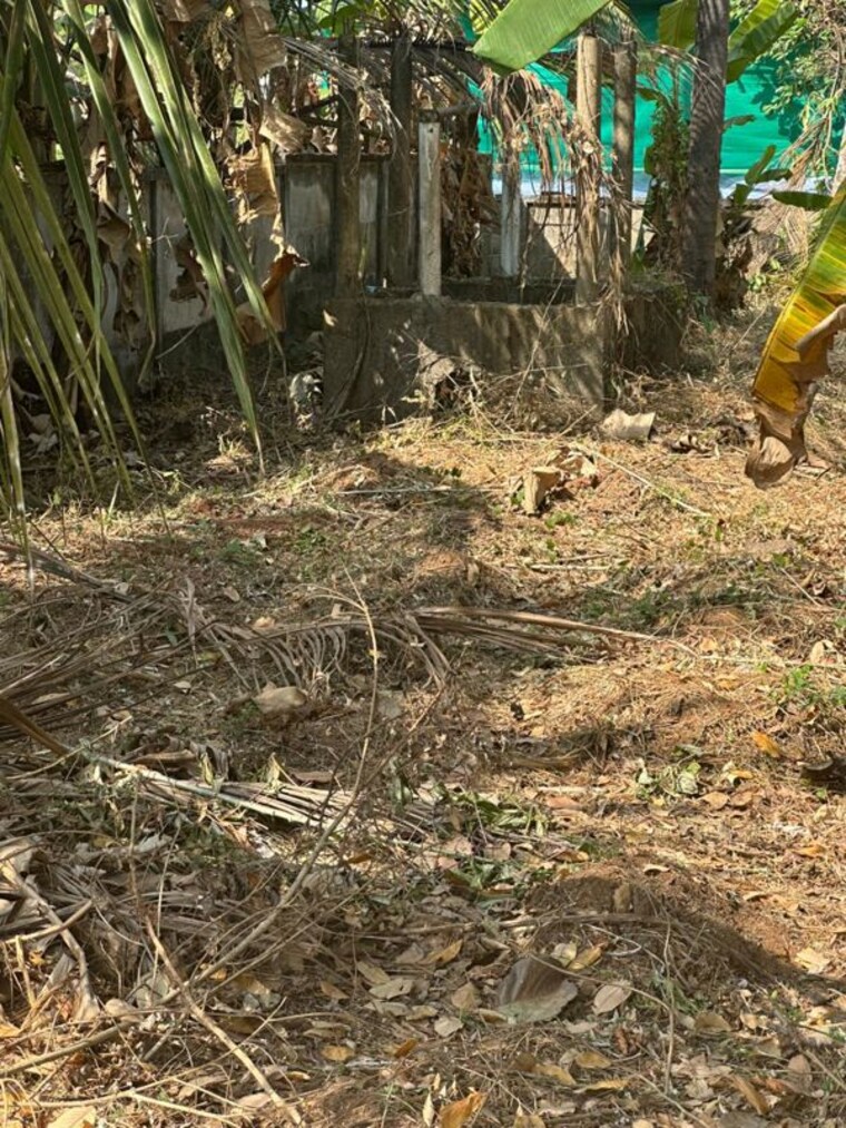 undefined, pamboor  3268 Sq.Ft. Plot In Pamboor Thrissur 9932795