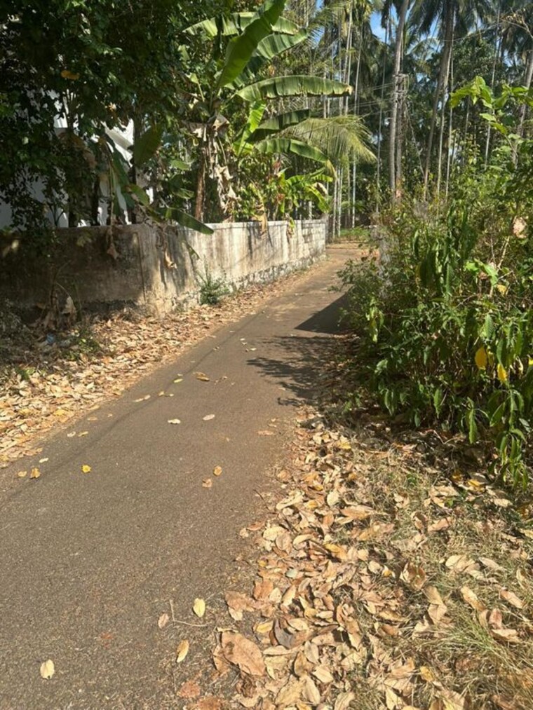 undefined, pamboor  3268 Sq.Ft. Plot In Pamboor Thrissur 9932795