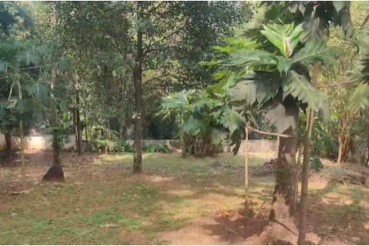 Garden, puzhakkal  4574 Sq.Ft. Plot In Puzhakkal Thrissur 9932863