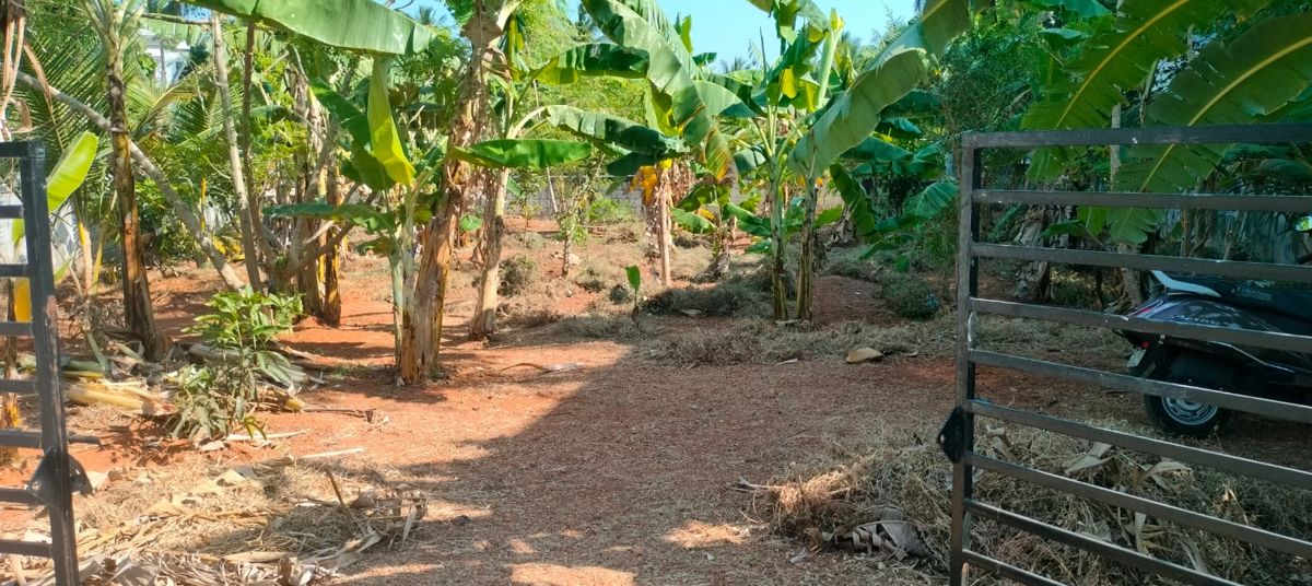 Plot For Sale in Cheroor