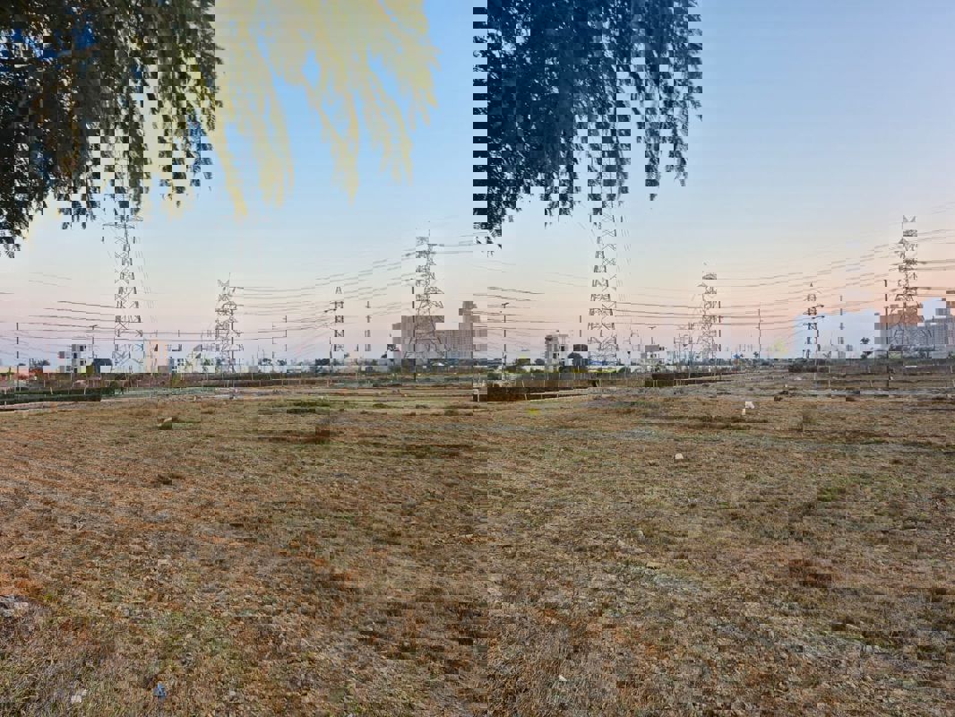 Plot Area in  Plot at Sector 87 – for Sale