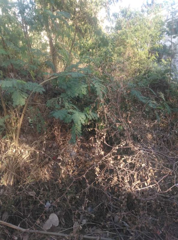 Plot For Sale in Anand Vihar Apartment Dilsukh Nagar