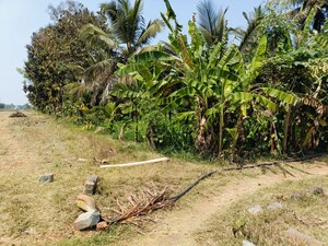  Plot For Sale in Doddaballapura