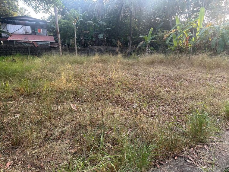undefined, mundoor  4138 Sq.Ft. Plot In Mundoor Thrissur 9934664