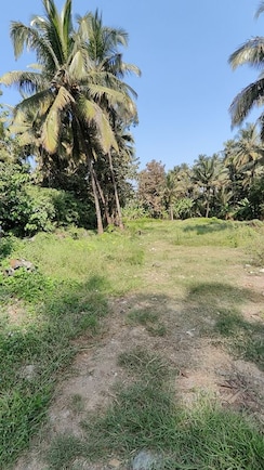 Plot For Sale in Vasai West