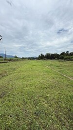 200 Sq.Yd. Plot in Jolly Grant