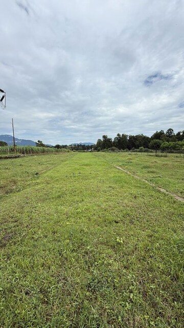  Plot For Sale in Jolly Grant