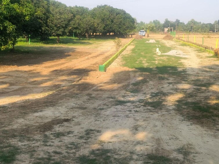 Cover Image, sector 145  1980 Sq.Ft. Plot In Sector 145 Noida 9934960