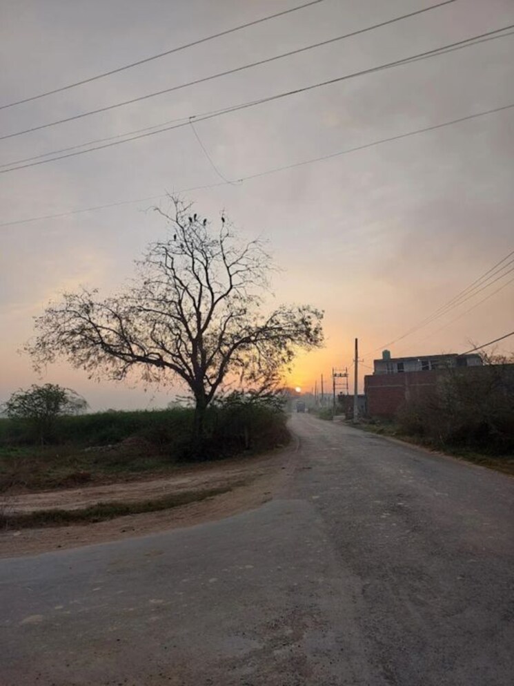 undefined, dera bassi  81 Sq.Yd. Plot In Dera Bassi Mohali 9935291