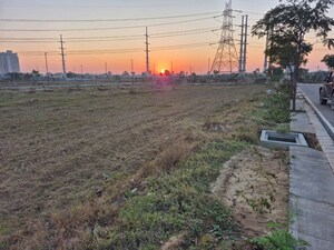 Plot Area in  Plot at Harhua – for Sale